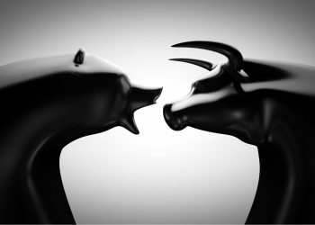 What is A Bear Market and Bull Market for Cryptocurrencies?